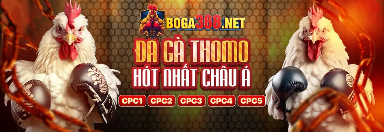 Chương Trình VIP dwin456